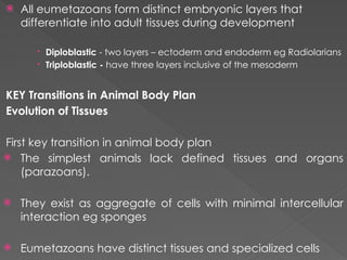 Comprehensive Overview of Animal Diversity and Evolutionary Adaptations ...