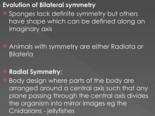 Comprehensive Overview of Animal Diversity and Evolutionary Adaptations ...