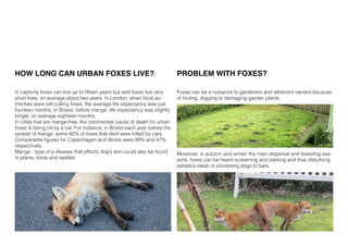 Fox Reseach Fox research | PDF