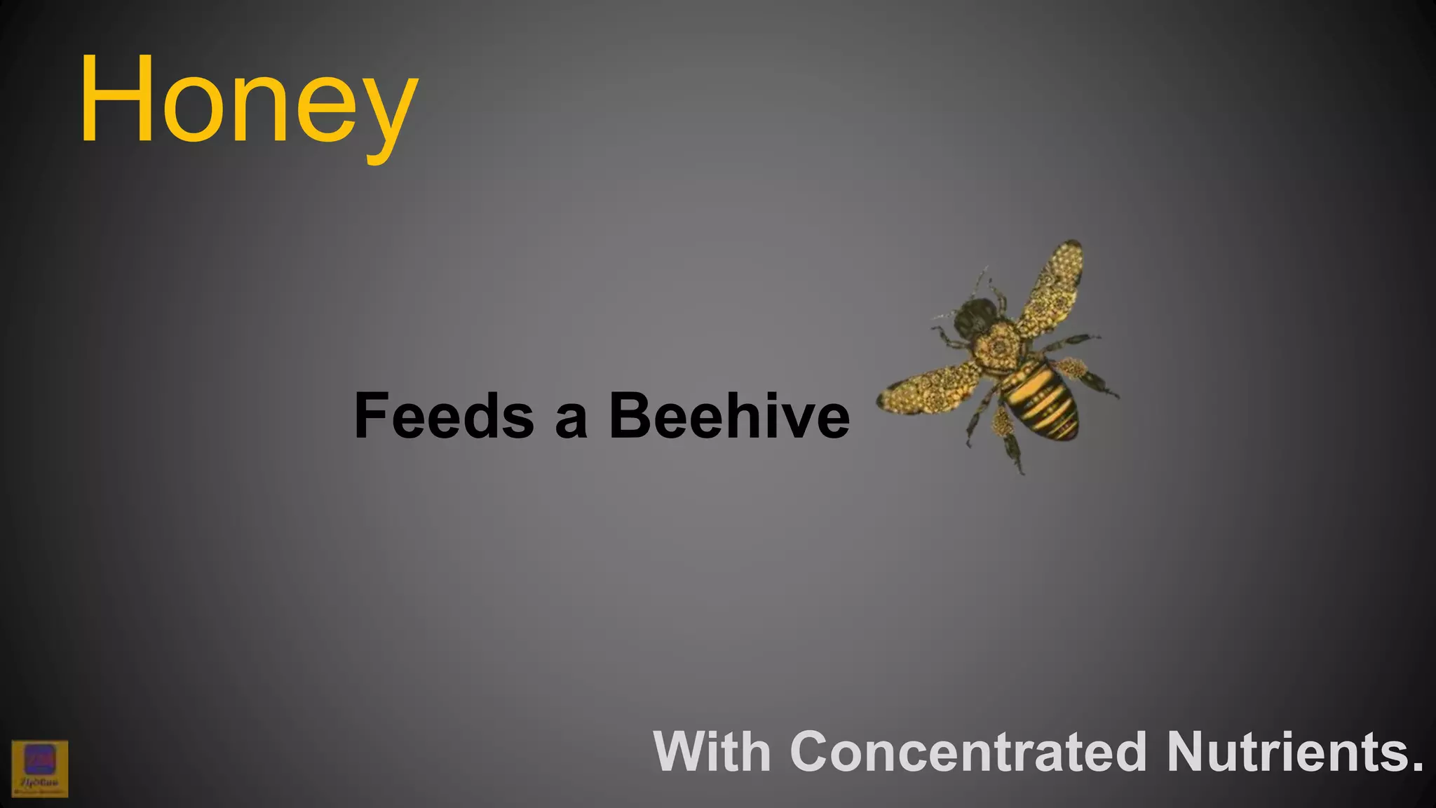 Feeds a Beehive
Honey
With Concentrated Nutrients.
 