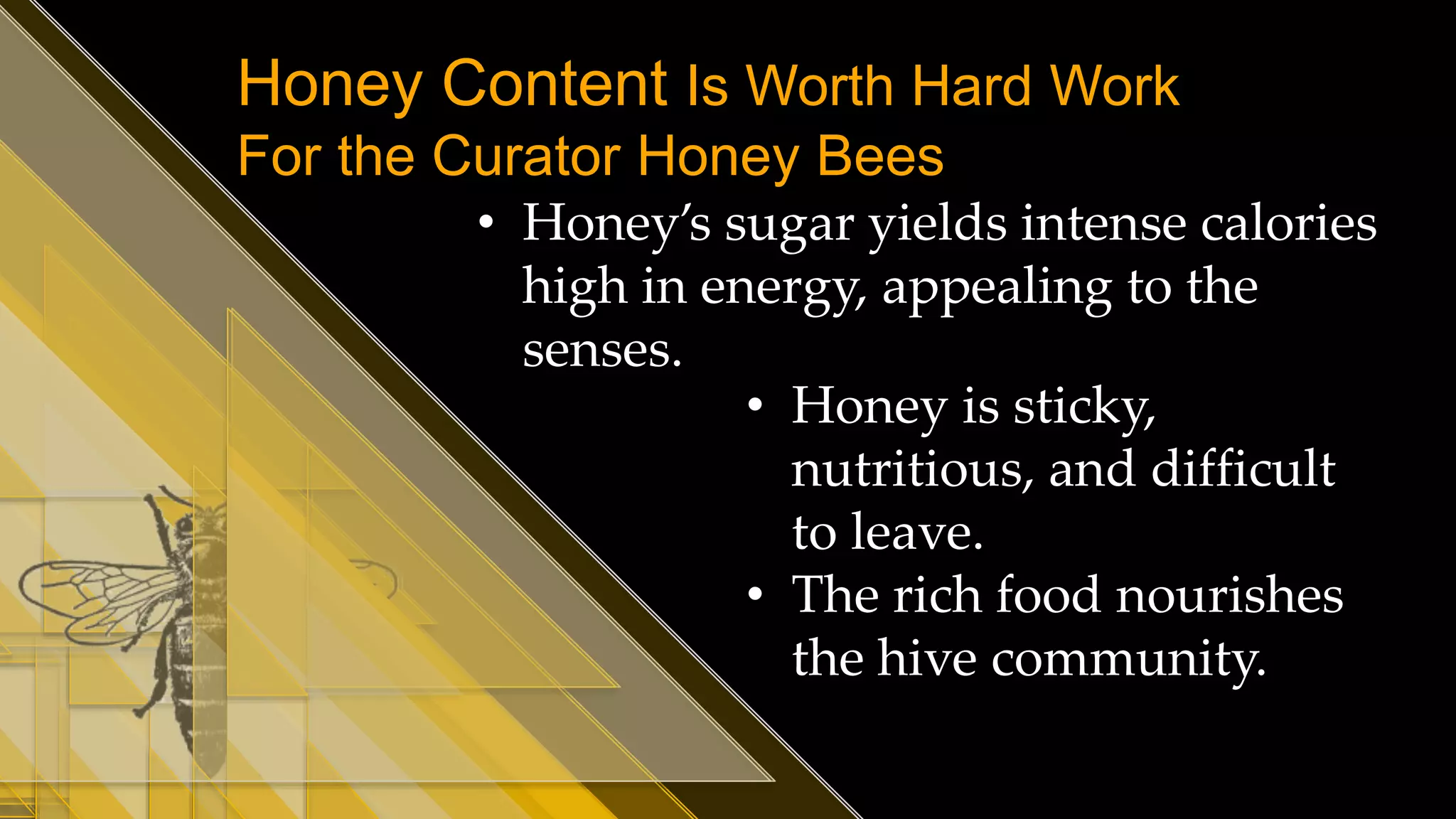 Honey Content Is Worth Hard Work
For the Curator Honey Bees
• Honey’s sugar yields intense calories
high in energy, appealing to the
senses.
• Honey is sticky,
nutritious, and difficult
to leave.
• The rich food nourishes
the hive community.
 