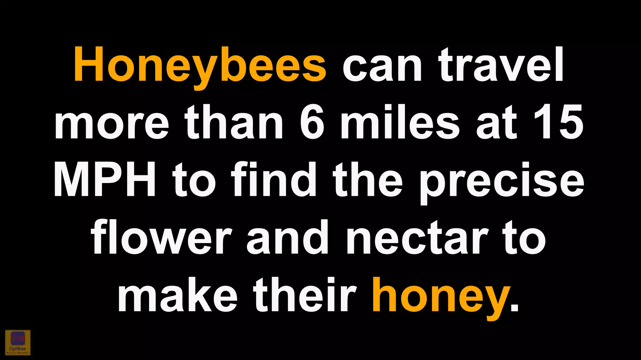 Honeybees can travel
more than 6 miles at 15
MPH to find the precise
flower and nectar to
make their honey.
 