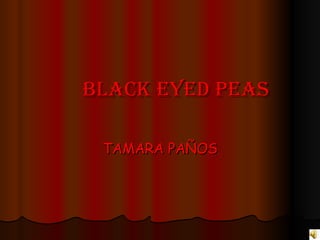 BLACK EYED PEAS TAMARA PAÑOS 