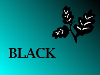 BLACK 