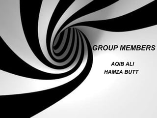GROUP MEMBERS
AQIB ALI
HAMZA BUTT

 