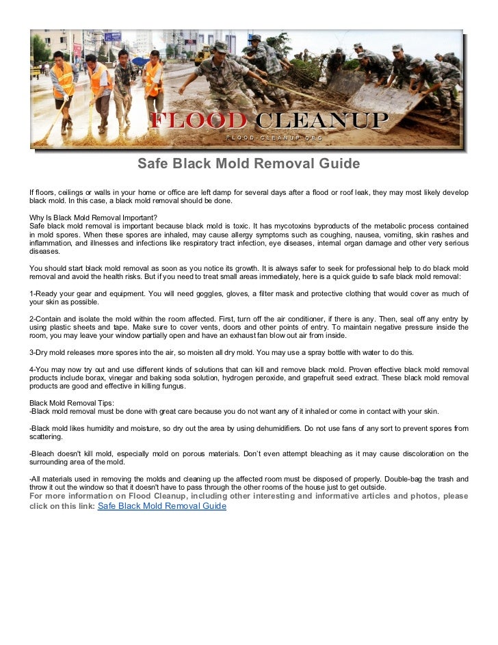 Safe Black Mold Removal Guide