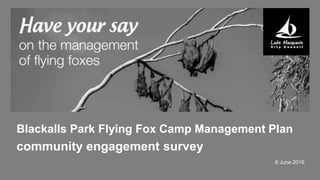 Blackalls Park Flying Fox Camp Management Plan
community engagement survey
6 June 2016
 