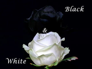 Black & White 