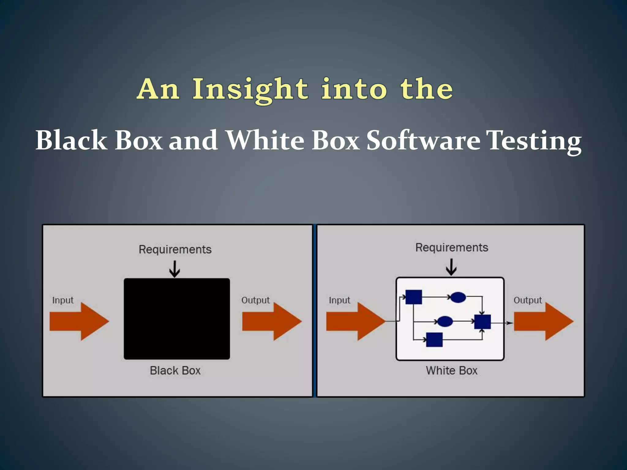Black Box and White Box Software Testing
 