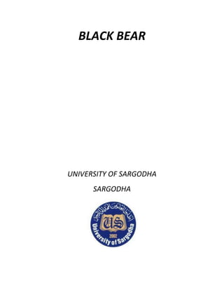 BLACK BEAR
UNIVERSITY OF SARGODHA
SARGODHA
 