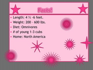 Facts!Length: 4 ½ -6 feet.Weight: 200 – 600 lbs.Diet: Omnivores# of young 1-3 cubsHome: North America