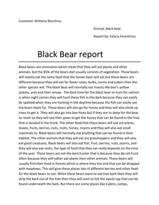 Customer: Britteny Bocchino

                                                     Animal: black bear

                                                     Report by: Felicia Ferentinos




             Black Bear report
Black bears are omnivores which mean that they will eat plants and other
animals. but the 85% of the bears diet usually consists of vegetation. These bears
will mostly eat the same food that the brown bear will eat but these bears are
different because they will eat far fewer roots, bulbs, corms and tubers then the
other species will. The black bear will normally eat insects like bee’s yellow
jackets, ants and their larvae. The best time for the black bear to hunt for salmon
is when night comes they will hunt these fish in the dark because they can easily
be spotted when they are hunting in the daytime because the fish can easily see
the bears black fur. These bears will also go for honey and they will also climb up
trees to get it. They will also go into bee hives but if they are to deep for the bear
to reach so they will use their paws to get the honey that can be found in the hive
that is located in the trunk. The other food that these bears will eat are plants,
leaves, fruits, berries, nuts, roots, honey, insects and they will also eat small
mammals to. Black bears will normally eat anything that can be found in their
habitat. The other animals that they will eat are grasshoppers and they will also
eat giant creatures. Black bears will also eat fish, fruit, berries, nuts, acorns, and
they will also eat roots, the type of food that they eat really depends on the time
of the year. These bears are not the best hunter that is because they do not hunt
often because they will rather eat plants then other animals. These bears will
usually find their food in forests which is where they live and that can be dropped
with meadows. This will give these places lots of different berries and other food
for the black bears to eat. When these bears want to eat tree bark then they will
strip the bark out of the tree then they will start to lick the sweet sap that can be
found underneath the bark. But there are some places like Cabins, camps,
 