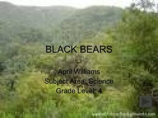 BLACK BEARS April Williams Subject Area: Science Grade Level: 4 