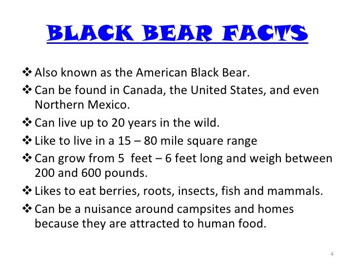 Brown Bear Facts Diet Habitat