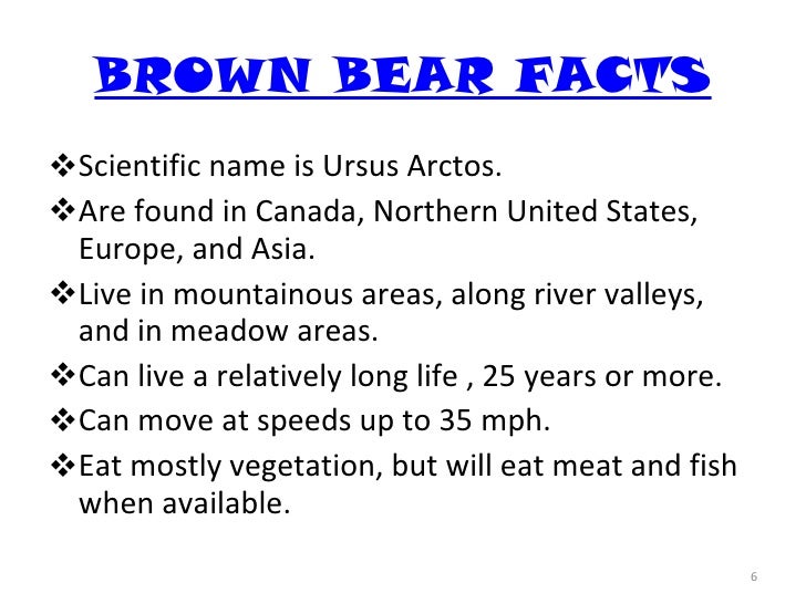 Where do brown bears live?