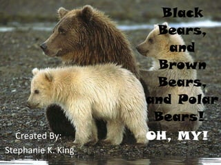 Black Bears, and Brown Bears, and Polar Bears!  Created By:  Stephanie K. King OH, MY! 