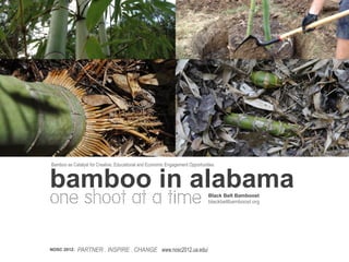 bamboo in alabama
Bamboo as Catalyst for Creative, Educational and Economic Engagement Opportunities




one shoot at a time                                                            Black Belt Bamboost
                                                                               blackbeltbamboost.org




NOSC 2012:   PARTNER . INSPIRE . CHANGE www.nosc2012.ua.edu/
 