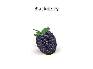Blackberry

 