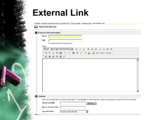 External Link 
