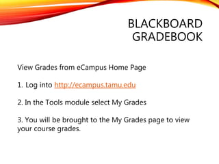 Blackboard Basics PPT