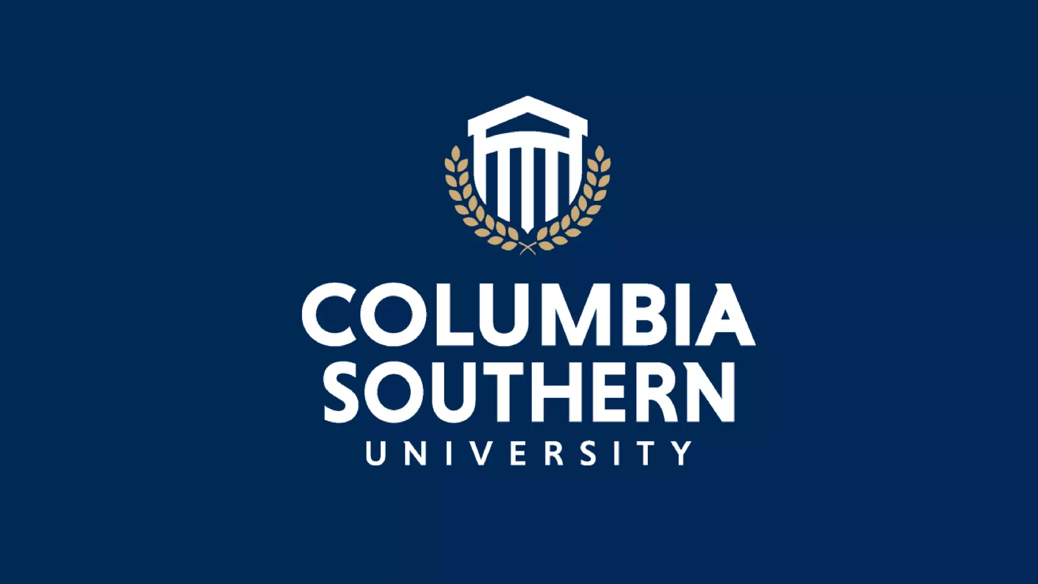 Blackboard collaborate   basic navigation