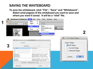 SAVING THE WHITEBOARD
To save the whiteboard, click “File”, “Save” and “Whiteboard”.
Select what page(s) of the whiteboard you want to save and
where you want it saved. It will be a “wbd” file.

1
2
3

 
