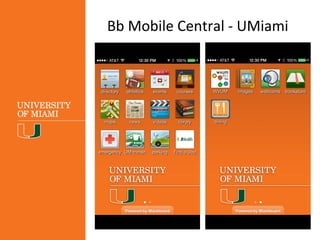 Umiami blackboard discount