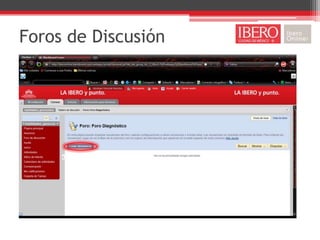 Foros de Discusión
 