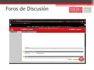 Foros de Discusión
 