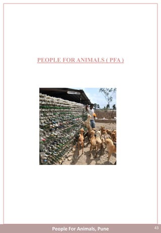 q
PEOPLE FOR ANIMALS ( PFA )
People For Animals, Pune 43
 