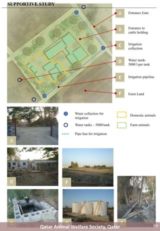 A
B
C
A
B
C
Entrance Gate
Entrance to
cattle holding
Irrigation
collection
D Water tamk-
5000 l per tank
D E
E Irrigation pipeline
Domestic animals
Farm animalsWater tanks – 5000/tank
Water collection for
irrigation
Pipe line for irrigation
F Farm Land
F
SUPPORTIVE STUDY
Qatar Animal Welfare Society, Qatar 99
 