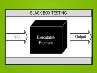 Black box testing or behavioral testing | PPTX