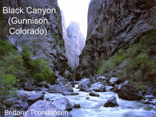 Black Canyon
 (Gunnison,
 Colorado)




Brittany Thorstensen
 