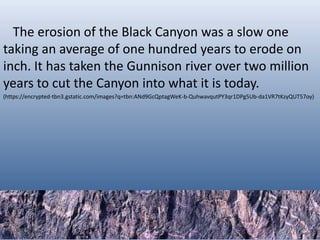 The erosion of the Black Canyon was a slow one
taking an average of one hundred years to erode on
inch. It has taken the Gunnison river over two million
years to cut the Canyon into what it is today.
(https://encrypted-tbn3.gstatic.com/images?q=tbn:ANd9GcQptagWeK-b-QuhwavqutPY3qr1DPg5Ub-da1VR7tKzyQUT57oy)
 