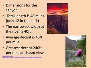 • Dimensions for the
canyon:
• Total length is 48 miles
(only 12 in the park)
• The narrowest width at
the river is 40ft
• Average decent is 43ft
per mile
• Greatest decent 240ft
per mile at chasm view
(http://media-cache-
lt0.pinterest.com/192x/26/e8/5a/26e85acf9234268006652ad488d8ffda.jpg)
 