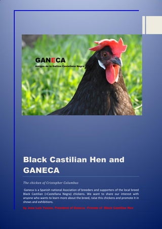 Black Castilian Hen and
GANECA
The chicken of Cristopher Columbus
Ganeca is a Spanish national Asociation of breeders and supporters of the local breed
Black Castilian (=Castellana Negra) chickens. We want to share our interest with
anyone who wants to learn more about the breed, raise this chickens and promote it in
shows and exhibitions.
by Jose Luis Yustos. President of Ganeca –Friends of Black Castilian Hen
 