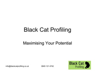 Black Cat Profiling Maximising Your Potential 