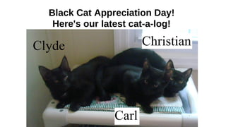 Black Cat Appreciation Day!
Here's our latest cat-a-log!
 