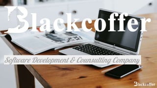 Software Development & Counsulting Company
 