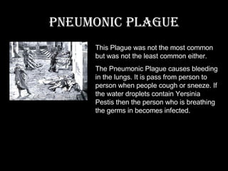 Pneumonic plague This Plague was not the most common but was not the least common either. The Pneumonic Plague causes bleeding in the lungs. It is pass from person to person when people cough or sneeze. If the water droplets contain Yersinia Pestis then the person who is breathing the germs in becomes infected. 