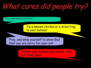 Carry sweet smelling herbs with you!
Tie a shaved chicken or a dried frog
to your buboes!
Pray, and whip yourself to show God
that you are sorry for your sin!
Soften your buboes with butter, then
cut them open!
 