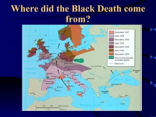 Where did the Black Death come from? 