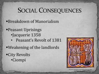 Cities state of hygiene