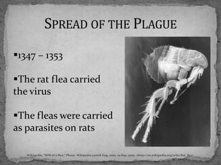 Spread of the Plague1347 – 1353