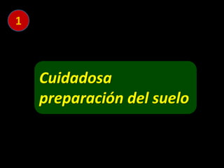 Cuidadosa
preparación del suelo
1
 