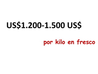 US$1.200-1.500 US$
por kilo en fresco
 