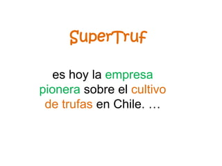 es hoy la empresa
pionera sobre el cultivo
de trufas en Chile. …
SuperTruf
 