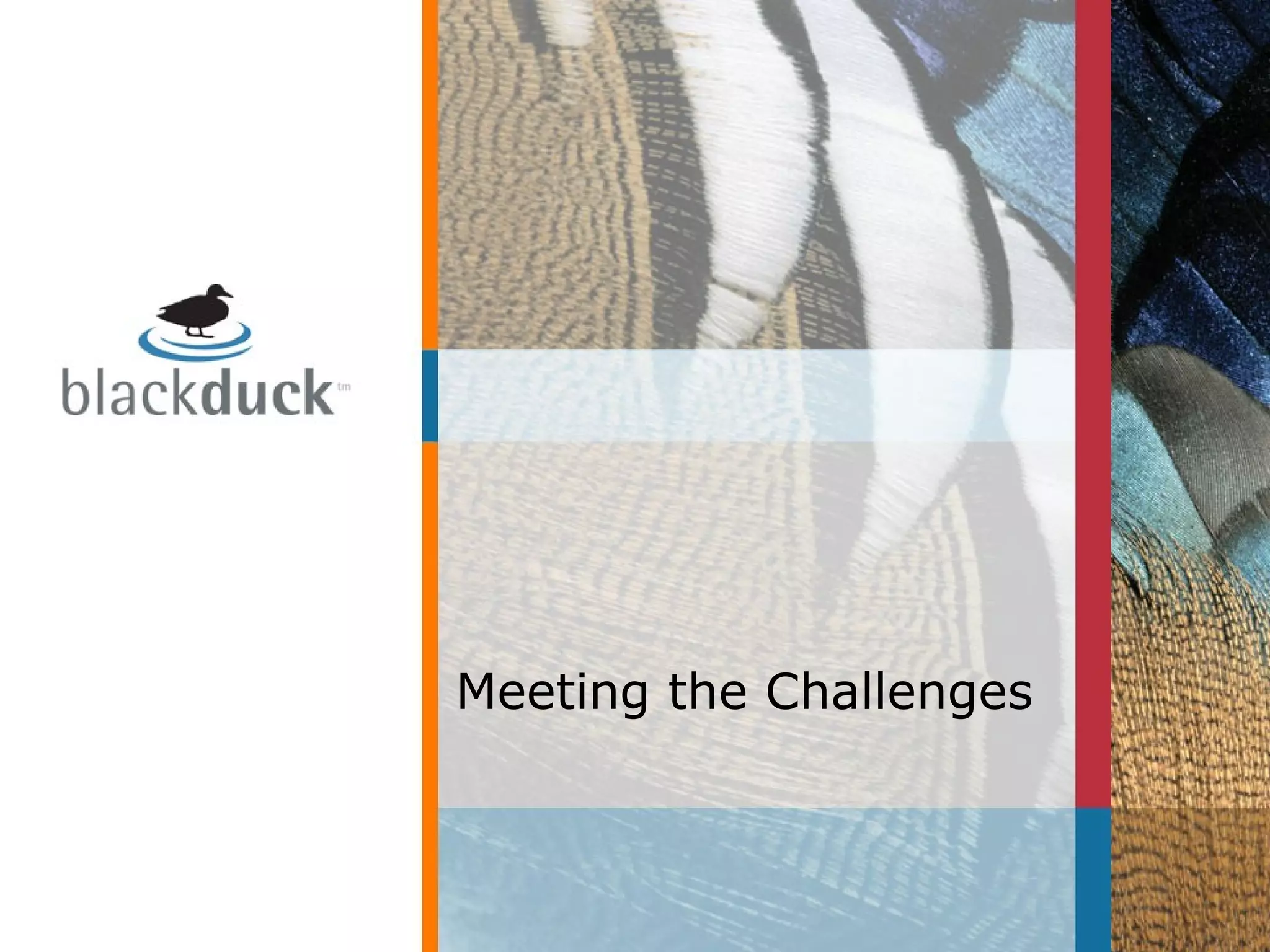 Meeting the Challenges
 