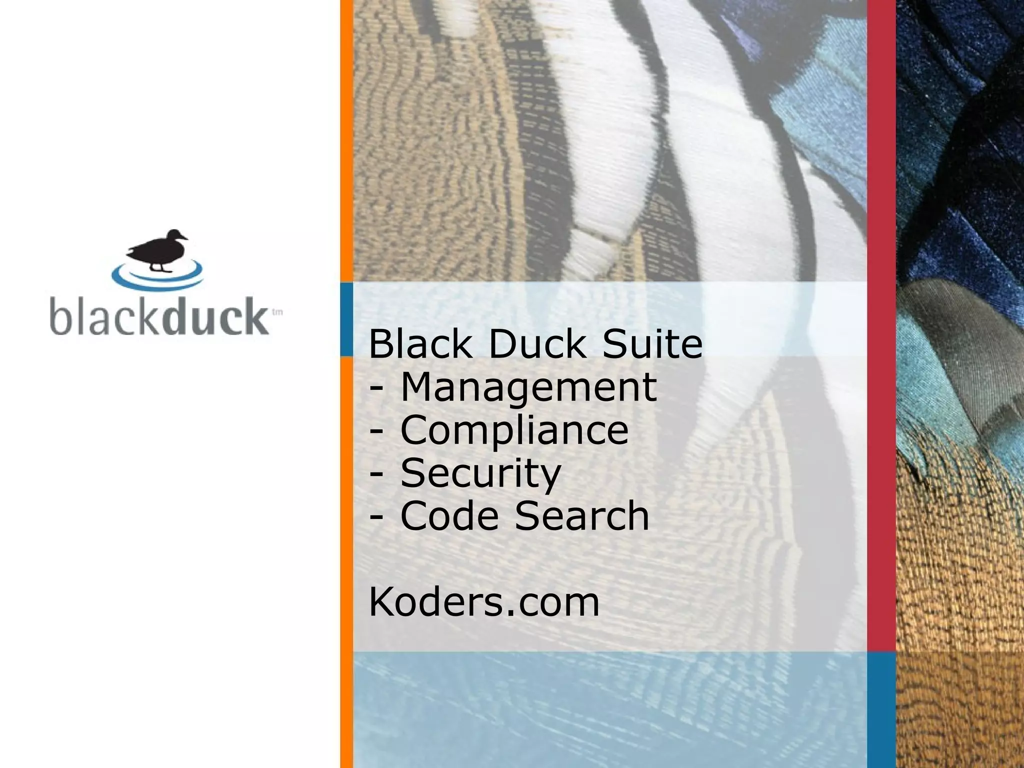 Black Duck Suite
- Management
- Compliance
- Security
- Code Search
Koders.com
 