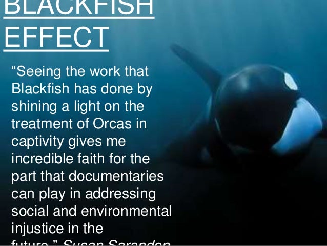 blackfish